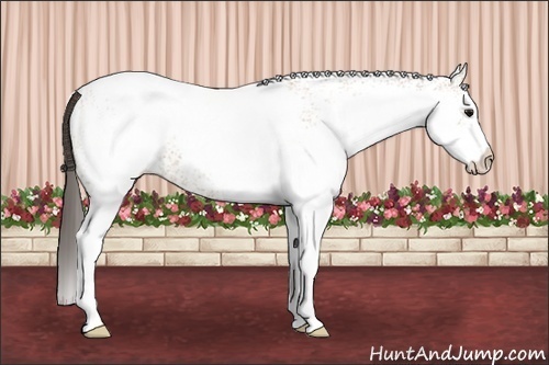 Horse Color: White Spotted Bay Roan Blanket 