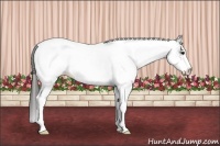 Horse Color:White Spotted Black Tobiano Appaloosa 
