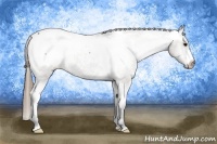 Horse Color:Grullo Snowcap 
