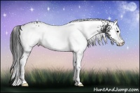 Horse Color:White Spotted Black