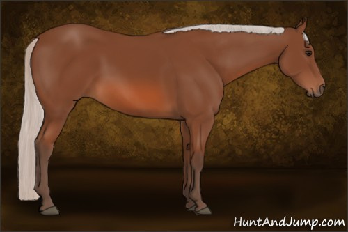 Horse Color: Silver Bay 