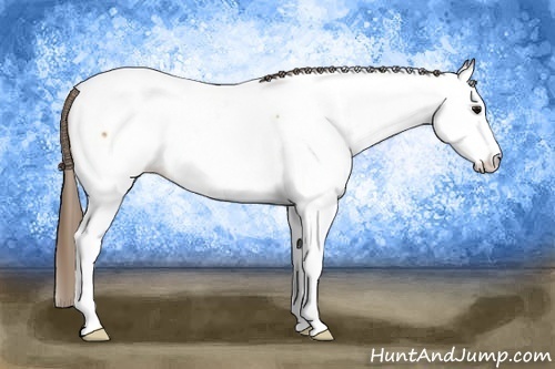 Horse Color: White Spotted Buckskin Near Fewspot 