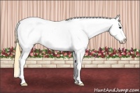 Horse Color:Smoky Grullo Splash Tobiano Varnish 