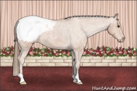 Horse Color:Bay Snowcap 