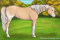 Horse Color:White Spotted Silver Amber Champagne Splash 
