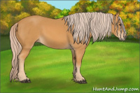Horse Color:Chocolate Palomino 