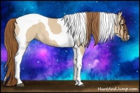 Horse Color:Red Dun Tobiano 