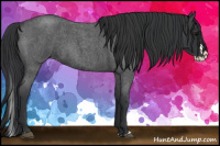 Horse Color:Blue Roan Splash 