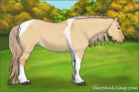 Horse Color:Palomino Dun Tobiano 