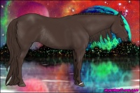 Horse Color:Liver Chestnut Rabicano 