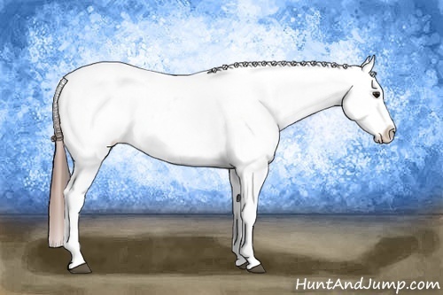 Horse Color: Brown Dun Tobiano Near Leopard 