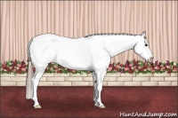 Horse Color:White Spotted Grullo Roan Frame Snowcap 