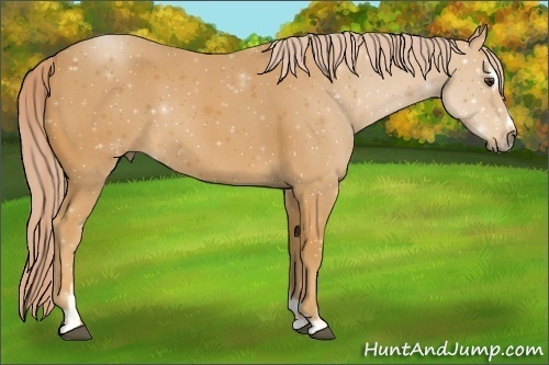 Horse Color: ERROR: UNKNOWN ANOMALY