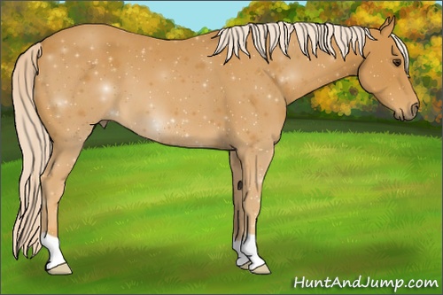 Horse Color: ERROR: UNKNOWN ANOMALY