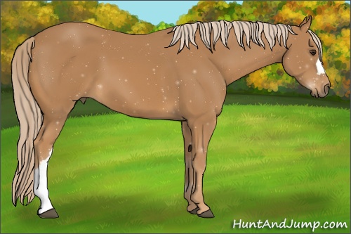 Horse Color: ERROR: UNKNOWN ANOMALY