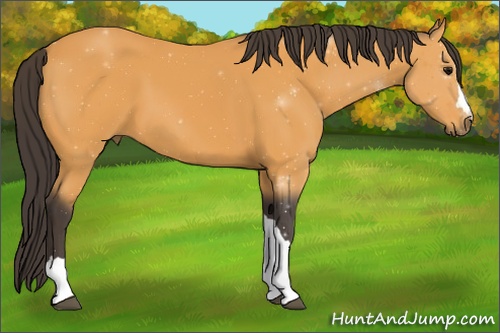 Horse Color: ERROR: UNKNOWN ANOMALY