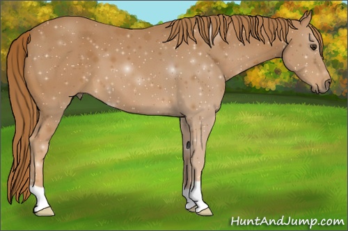 Horse Color: ERROR: UNKNOWN ANOMALY