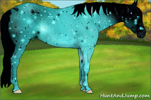 Horse Color: ERROR: UNKNOWN ANOMALY