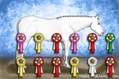 Horse Color: Grullo Roan Splash Snowcap 