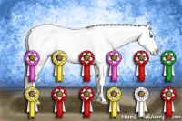 Horse Color:Grullo Roan Splash Snowcap 
