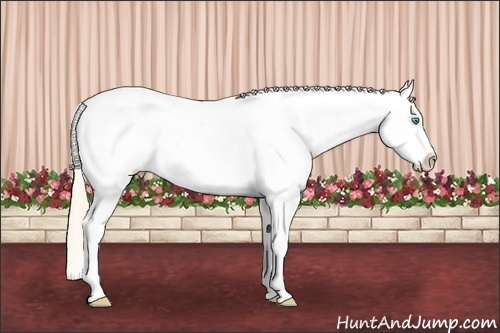 Horse Color: Perlino Roan Dun Blanket 