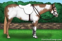 Horse Color:Chestnut Frame 