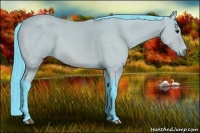Horse Color:Watercolor Bay 
