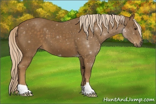 Horse Color: ERROR: UNKNOWN ANOMALY