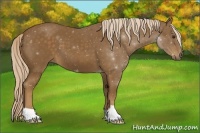 Horse Color:ERROR: UNKNOWN ANOMALY