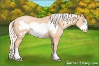 Horse Color:Silver Buckskin Pearl Frame 