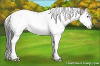 Horse Color:Bay Splash Tobiano 