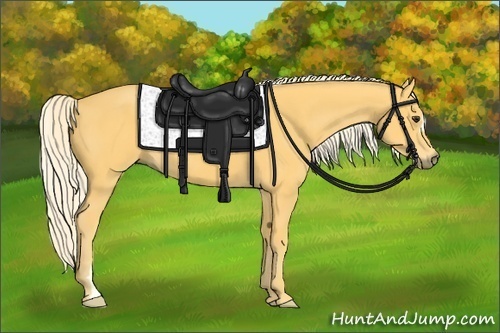 Horse Color: Palomino 