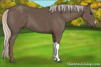Horse Color:Silver Black 