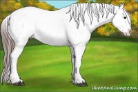 Horse Color:Grullo Splash Appaloosa 