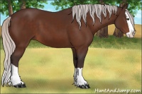 Horse Color:Silver Brown Splash 