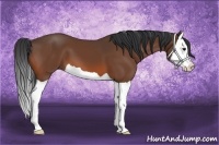 Horse Color:Brown Splash 