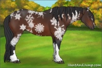 Horse Color:Brown Ice 