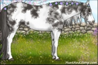 Horse Color:White Spotted Smoky Black Frame 
