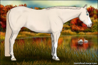 Horse Color:Perlino 