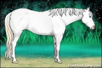 Horse Color:White Spotted Smoky Grullo Pearl Sabino Splash Blanket 