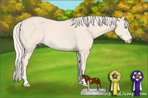Horse Color: Cremello Sabino Tobiano 