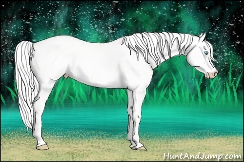 Horse Color: Silver Perlino Dun 