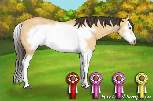 Horse Color: Buckskin Dun Splash Frame 