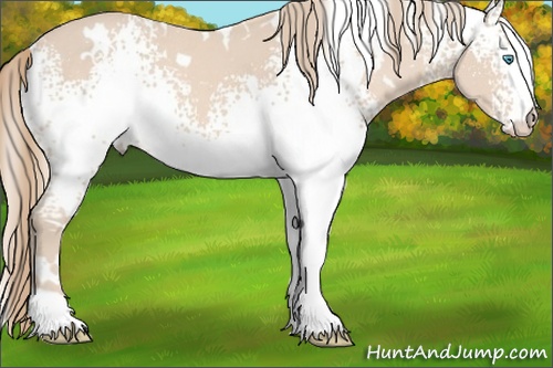 Horse Color: White Spotted Perlino 