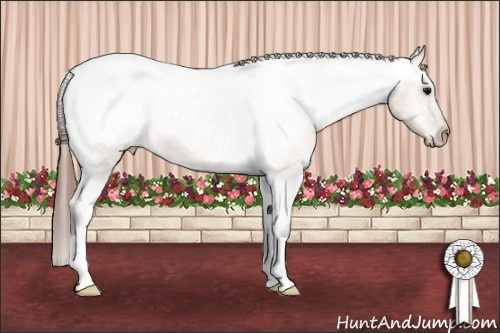 Horse Color: Bay Roan Dun Snowcap 
