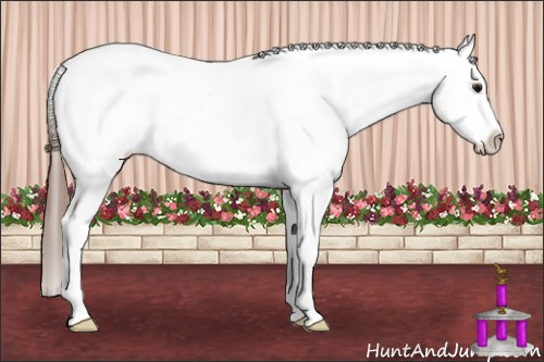 Horse Color: Bay Roan Frame Varnish 