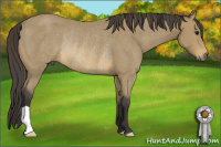 Horse Color:Buckskin Rabicano