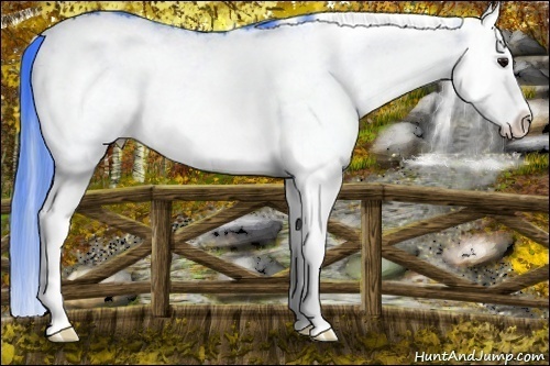 Horse Color: Watercolor White Spotted Brown Splash 