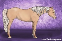 Horse Color:Silver Amber Champagne 