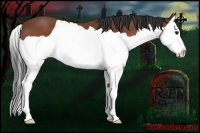 Horse Color:Brown Splash 